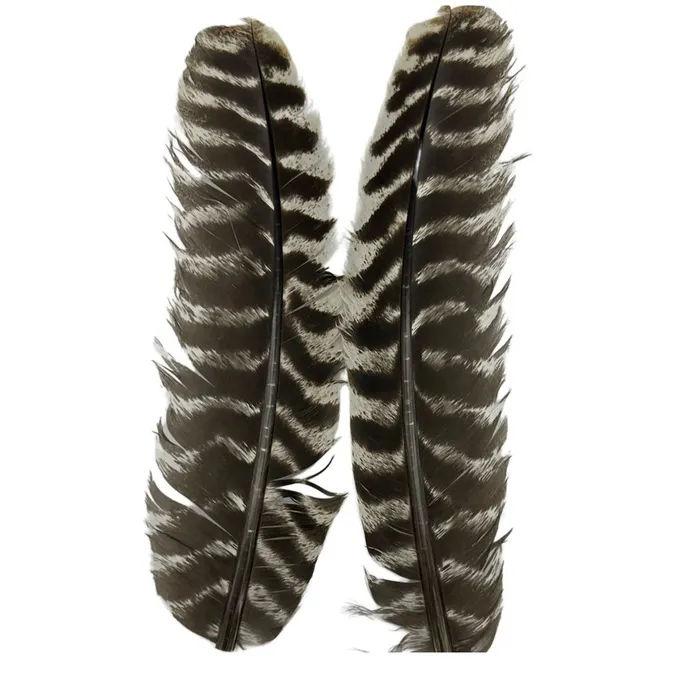 Turkey Quills Fly Tying Feather 1 Turkey Quills Fly Tying Feather
