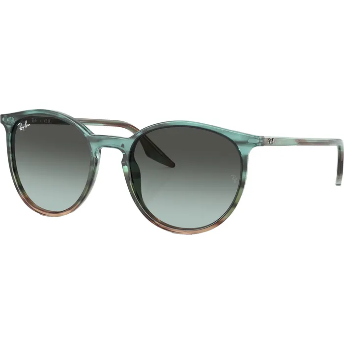 RB2204 Sunglasses