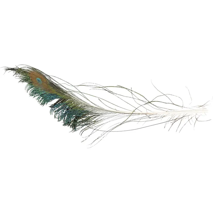Peacock Sword 1 Peacock Sword