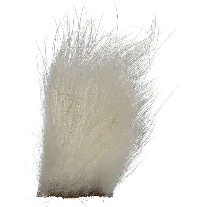 Polar Bear White Medium 1 Polar Bear White Medium