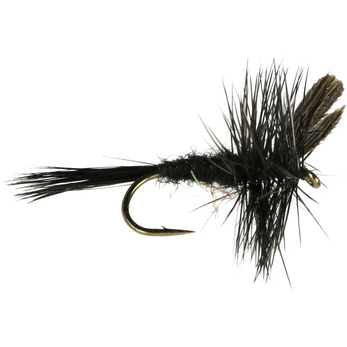 Black Gnat Fly 1 Black Gnat Fly