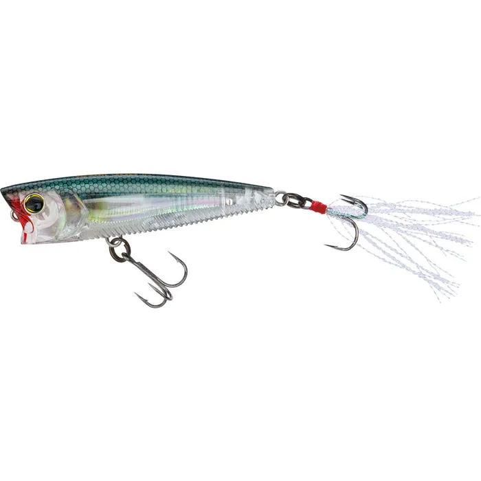3DB Popper (F) 75Mm 3 in. Hard Bait 1 3DB Popper (F) 75Mm 3 in. Hard Bait