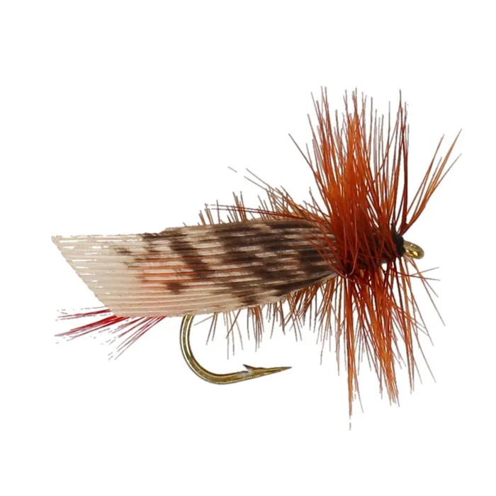 Grasshopper Dry Fly 1 Grasshopper Dry Fly