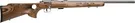 93R17 BTVSS 17HMR, 21 in. Bolt Action Rifle
