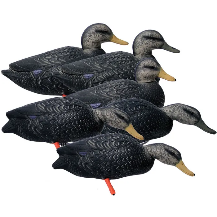 Magnum Black Duck Decoys 1 Magnum Black Duck Decoys