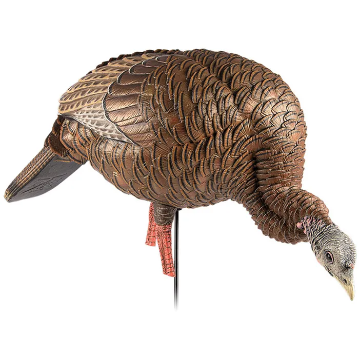HDR Feeding Hen Decoy