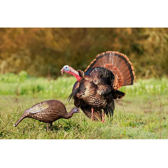 Hard Body Feeder Hen Decoy 5 Hard Body Feeder Hen Decoy